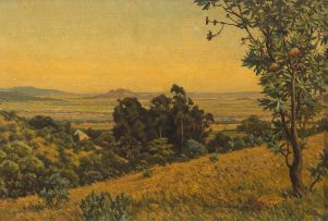 Erich Mayer; Lowveld Landscape