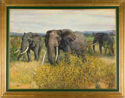 Zakkie Eloff; Group of Elephants