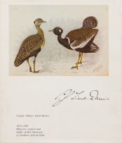 AC Kemp; The Biography of Claude Gibney Finch-Davies, 1875-1920: Observer, student and highly skilled illustrator of Southern African birds