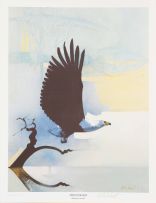 Keith Joubert; Birds of the Waterways of Southern Africa, portfolio