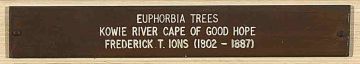 Frederick Timpson I'Ons; Euphorbia Trees, Kowie River, Cape of Good Hope