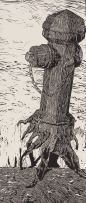 Niall Bingham; Fire Hydrant with Tree Roots
