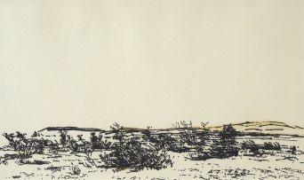 Adolph Jentsch; Bushes in a Namibian Landscape
