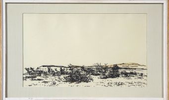 Adolph Jentsch; Bushes in a Namibian Landscape
