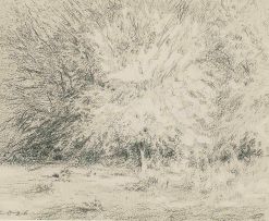 Carl Ossmann; Baum Skizze (Tree Sketch)