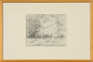 Carl Ossmann; Baum Skizze (Tree Sketch)