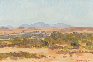 Hermann Hottinger; Namibian Landscape