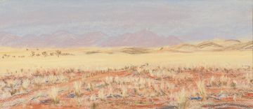 R Kuchling; Namibian Landscape