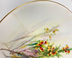 A set of six Royal Worcester botanical plates, 1819-1919, painted by William Hale, of South African interest