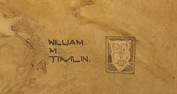 William Timlin; The Castaway