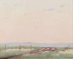 Willem Hermanus Coetzer; The Farm Road