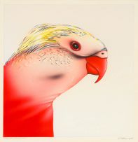 Norman Catherine; Portrait of a Parrot Man