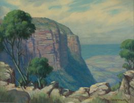 Willem Hermanus Coetzer; Extensive Drakensberg Landscape