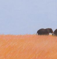 Paul Bosman; Landscape with Elephants
