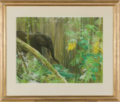 Paul Bosman; Elephant in Knysna Forest
