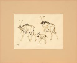 Zakkie Eloff; Wildebeest; Springbok; Red Hartebeest; Roan Antelope, four