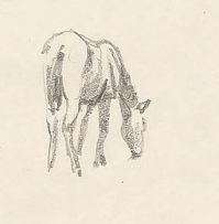 Maggie Laubser; Studies of Horses