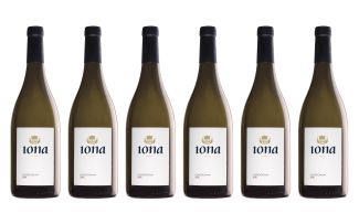 Iona Vineyards; Chardonnay; 2015; 12 (2 x 6); 750ml