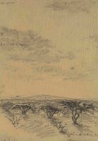 Carl Ossmann; Extensive Landscape with Acacia Trees