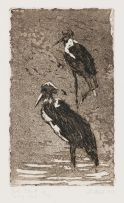 Johannes Blatt; Storks