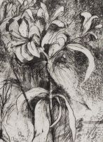 Jim Dine; Temple of Flora – Superb Lilies