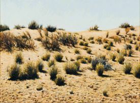 Walter Meyer; Dune Landscape, Kalahari