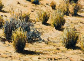 Walter Meyer; Dune Landscape, Kalahari