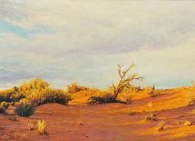 Walter Meyer; Kalahari Landscape