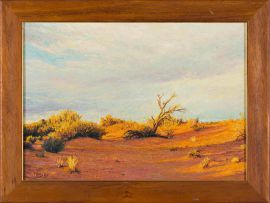 Walter Meyer; Kalahari Landscape