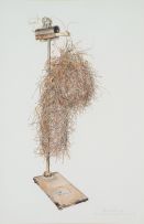 Anne Ginsburg; Nest of Red-headed Weaver
