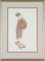 Anne Ginsburg; Nest of Red-headed Weaver