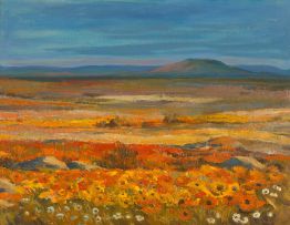 James Thackwray; Springtime Namaqualand