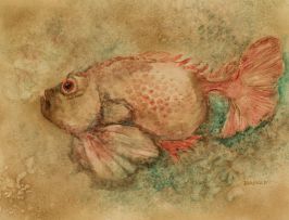 Masha Braunger; Scorpion Fish
