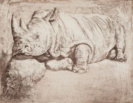 Zakkie Eloff; Rhino
