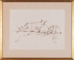 Zakkie Eloff; Group of Rhino Resting
