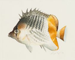 Leigh Voigt; Fish, three