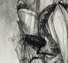 Diane Victor; Moths Caught in Spider Web