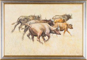 Zakkie Eloff; Fleeing Buffalo
