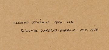 Clément Sénèque; Botanical Gardens, Durban