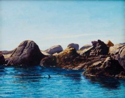 Walter Meyer; Rock Pool with Kelp