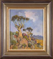 Conrad Theys; Quiver Trees, Springbok