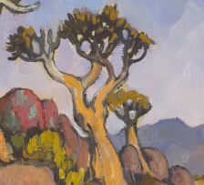 Conrad Theys; Quiver Trees, Springbok