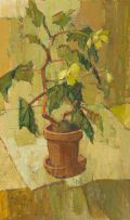 Barbara Grace Burry; Potted Begonia