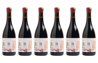 B Vintners; Liberte Pinotage; 2016; 6 (1 x 6); 750ml