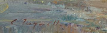 Christopher Tugwell; Extensive Landscape