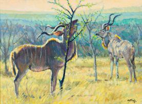 Zakkie Eloff; Kudu Browsing