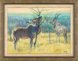 Zakkie Eloff; Kudu Browsing