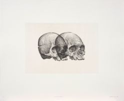 Gerhard Marx; Binocular Skull I