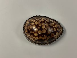 A Boer War silver-mounted cowrie shell snuff box with Swiss marks for 1882 - 1934