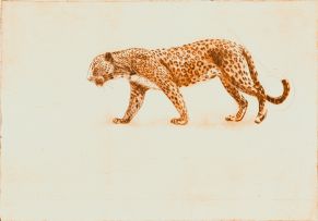 Susan Orpen; Leopard